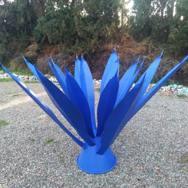 Aloé vera – Image 2
